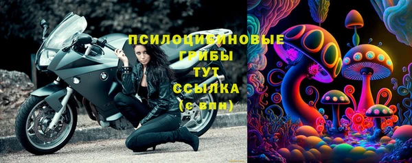 соль ск Алексин