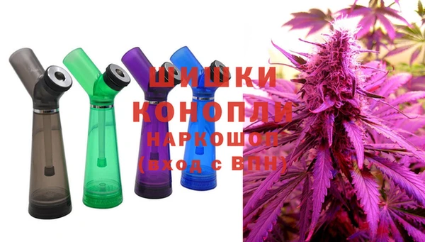 ПСИЛОЦИБИНОВЫЕ ГРИБЫ Алзамай