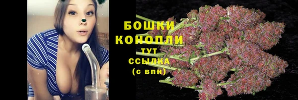 ПСИЛОЦИБИНОВЫЕ ГРИБЫ Алзамай