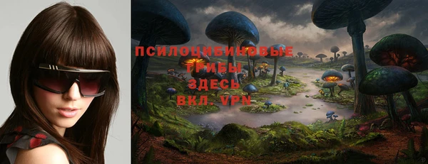 соль ск Алексин