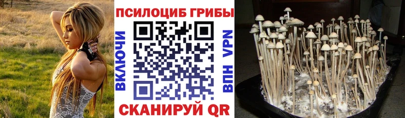 Псилоцибиновые грибы Psilocybe наркота mega онион Ивангород